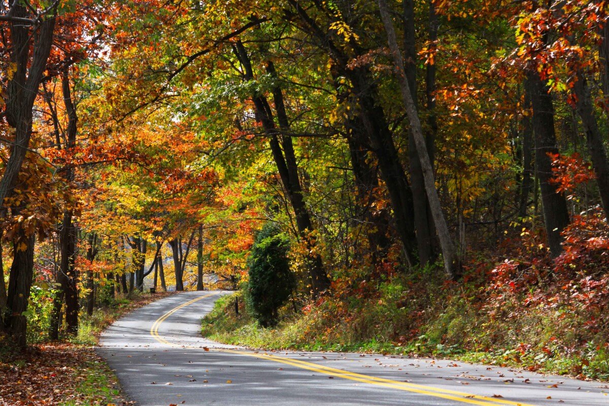 Fall foliage Garrett County