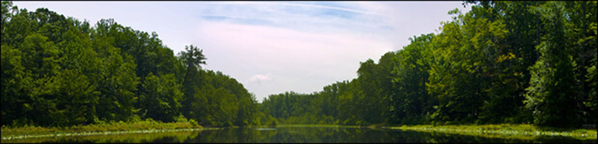 charles-banner